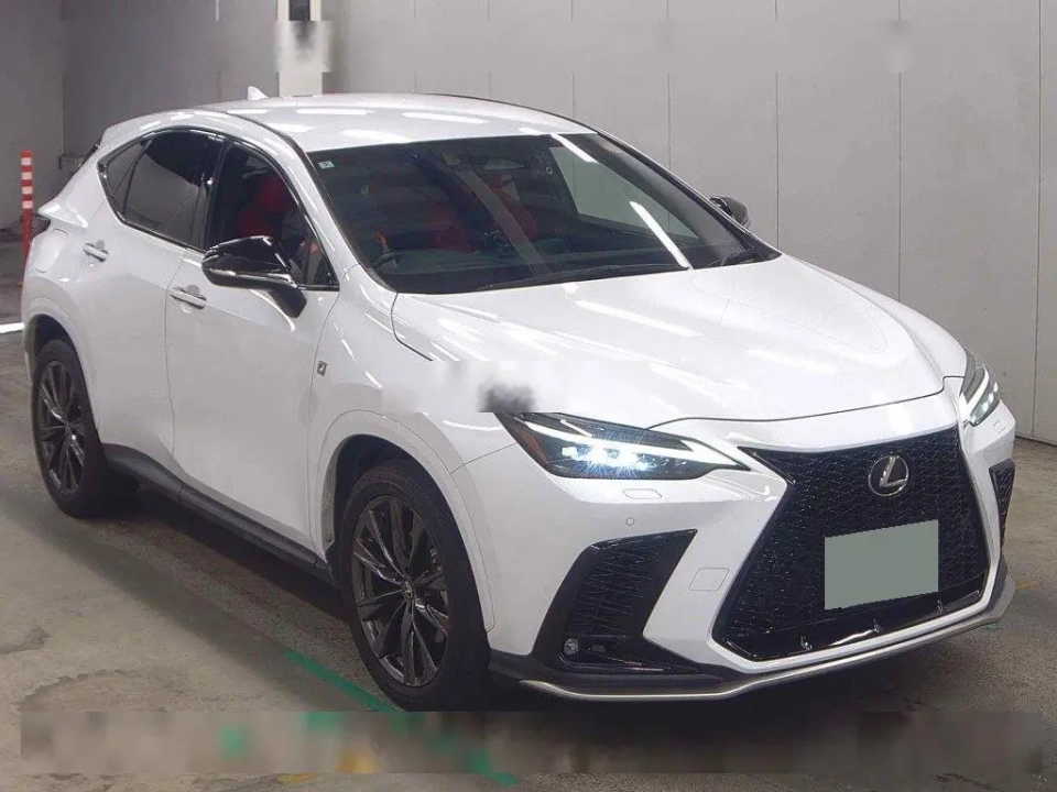 Lexus Nx in White Nova Glass Flake